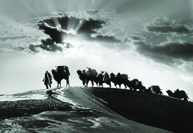 岁月的经典日志