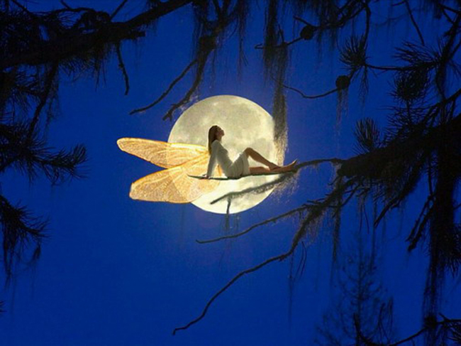 对着月亮说爱你和对着背影说爱你的赞美诗歌