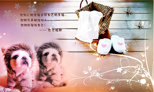 �й�һ�仰���Ҹ����˸���