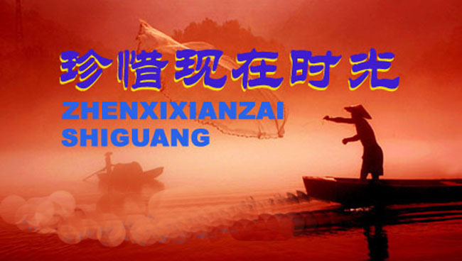 珍惜现在的情感日志