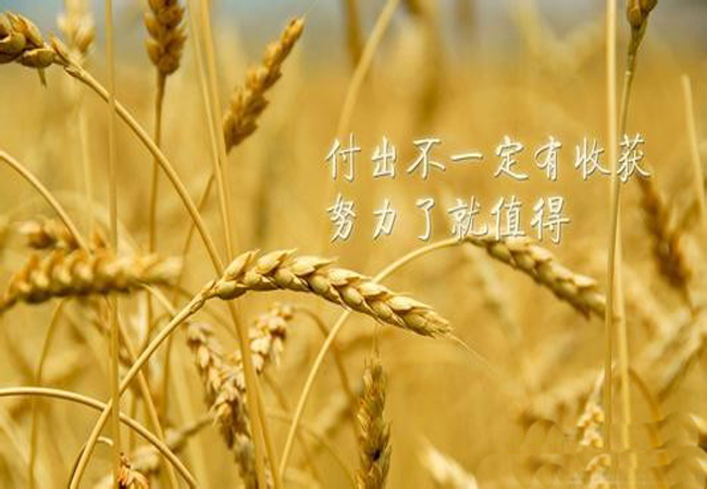 只有坚强面对挫折才能走向成功和不道酬勤