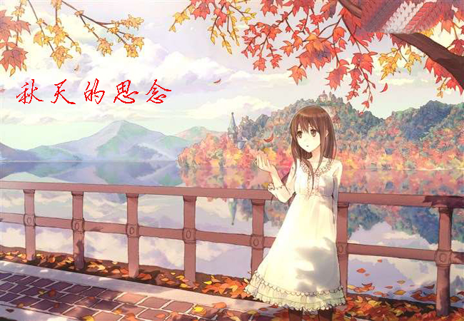 秋天的思念和太美的偶然才是伤