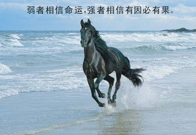 关于人生的哲理名人名言