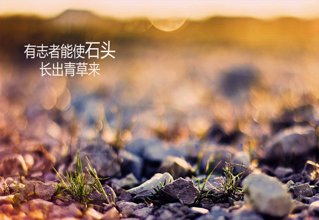 ־Ļܻô㣬㶼ҪԼҪ