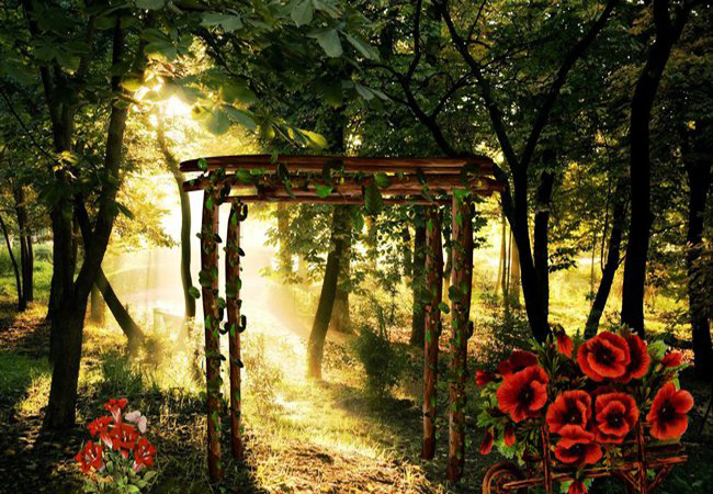 иȥ˲ͬĵط˲ͬķ羰