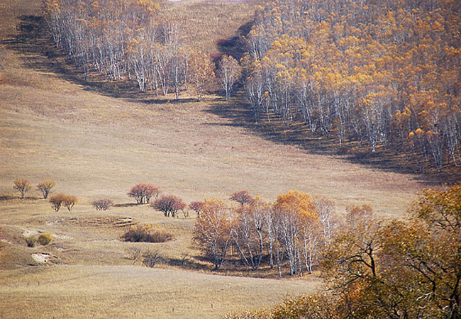 旅行感悟,如果可以,我真想和你一直旅行