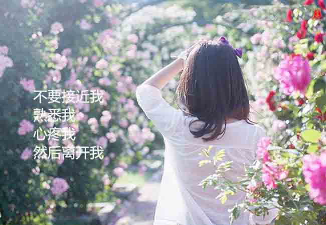 伤感的话,不要说,离开以后还会想念