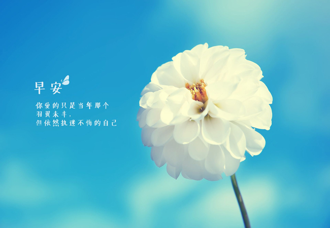 早安问候语大全