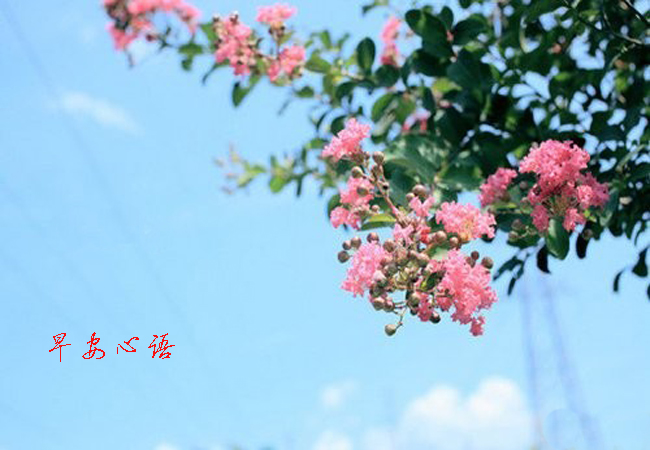 �簲�����ȫ