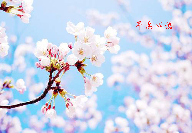 �簲�����ȫ