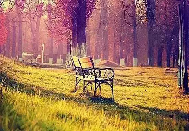 早安心语,安然一份放弃,固守一份洒脱