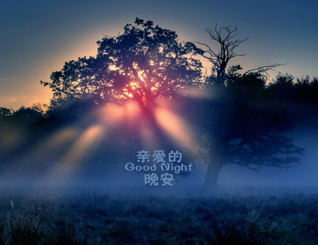 �簲��������