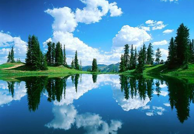 qq空间经典文章