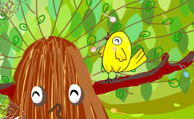 ȥ����������