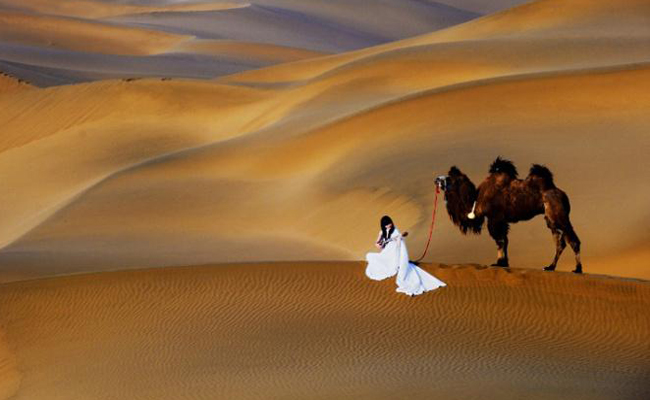 ���Ŷ����