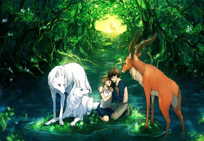 鹿和狼的故事读后感