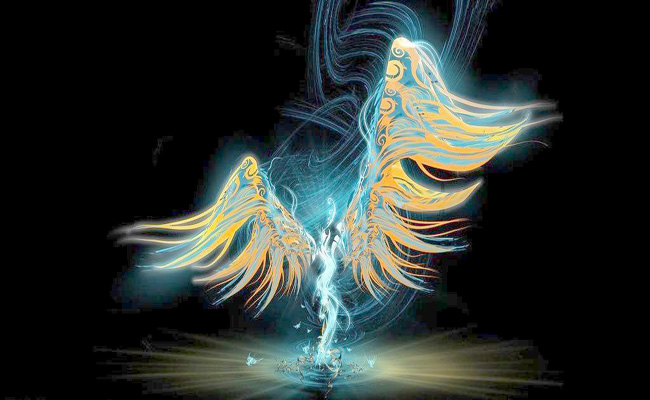 彩色的翅膀读后感