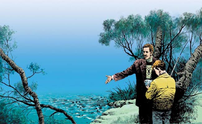 钓鱼的启示读后感