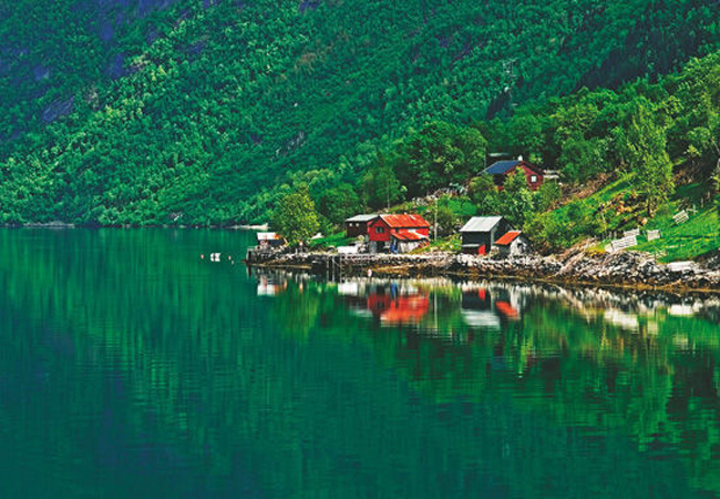 挪威的森林读后感